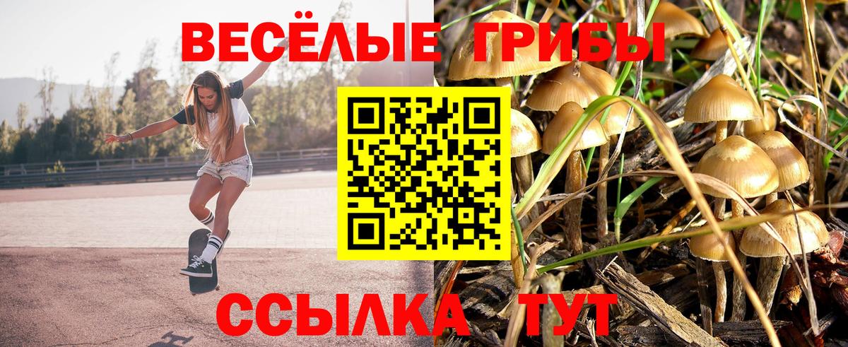 Псилоцибиновые грибы мухоморы Каменка