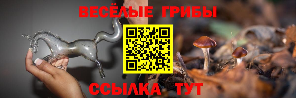 Галлюциногенные грибы Psilocybine cubensis  Вход с VPN  Каменка 