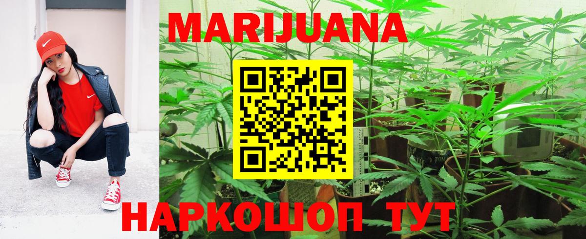 Марихуана тримм  Вход с VPN  Каменка  Шишки марихуана план  Конопля LSD WEED 